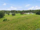 28 acres Curt Road - Photo 31