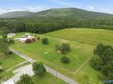 28 acres Curt Road - Photo 5