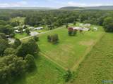 28 acres Curt Road - Photo 7