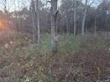 32 acres Euclid Road - Photo 11