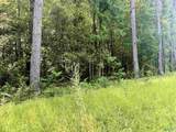 3 Acres Herbert Road - Photo 4