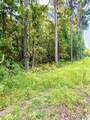 3 Acres Herbert Road - Photo 6