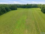 42 acres Kenny Clay Road - Photo 16