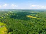 42 acres Kenny Clay Road - Photo 19