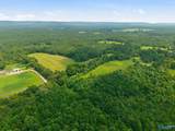 42 acres Kenny Clay Road - Photo 6
