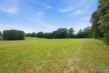 42 acres Kenny Clay Road - Photo 7