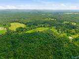 42 acres Kenny Clay Road - Photo 8