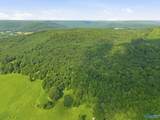 137 Acres Ausby Light Road - Photo 1