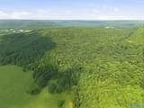 137 Acres Ausby Light Road - Photo 10