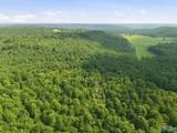 137 Acres Ausby Light Road - Photo 11