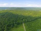 137 Acres Ausby Light Road - Photo 12