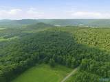137 Acres Ausby Light Road - Photo 13