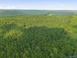 137 Acres Ausby Light Road - Photo 14