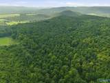 137 Acres Ausby Light Road - Photo 3
