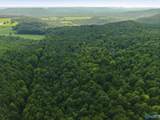137 Acres Ausby Light Road - Photo 6