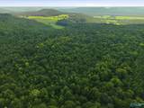 137 Acres Ausby Light Road - Photo 7