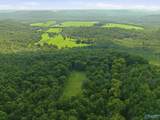 137 Acres Ausby Light Road - Photo 8