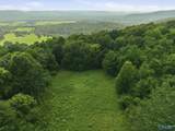 137 Acres Ausby Light Road - Photo 9