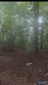 384 Monte Sano Drive - Photo 3