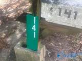 141 Smith Drive - Photo 8