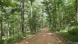 264 Acres Alabama Highway 65 - Photo 10