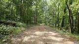 264 Acres Alabama Highway 65 - Photo 11