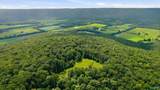 264 Acres Alabama Highway 65 - Photo 12