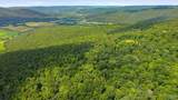 264 Acres Alabama Highway 65 - Photo 14