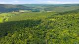 264 Acres Alabama Highway 65 - Photo 15