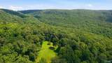 264 Acres Alabama Highway 65 - Photo 17