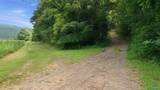 264 Acres Alabama Highway 65 - Photo 2