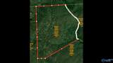 296 Acres County Road 106 - Photo 1