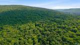 296 Acres County Road 106 - Photo 2