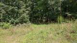 296 Acres County Road 106 - Photo 3