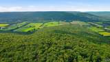 296 Acres County Road 106 - Photo 4