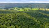 296 Acres County Road 106 - Photo 5