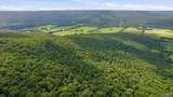 296 Acres County Road 106 - Photo 6