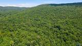 296 Acres County Road 106 - Photo 7