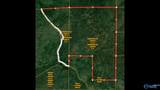 252 Acres County Road 106 - Photo 1