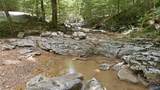 252 Acres County Road 106 - Photo 10