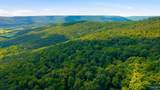 252 Acres County Road 106 - Photo 5