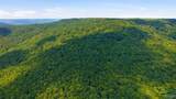 252 Acres County Road 106 - Photo 6