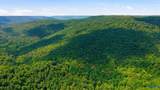 252 Acres County Road 106 - Photo 7
