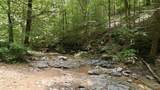 252 Acres County Road 106 - Photo 8