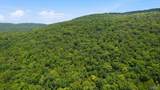 813 Acres Alabama Highway 65 - Photo 28