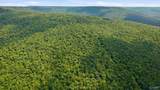 813 Acres Alabama Highway 65 - Photo 29