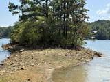 41 Acres Big Bear Branch Road - Photo 4