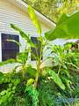 1401 North Street - Photo 3