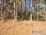 18.52 Acres County Road 41 - Photo 1