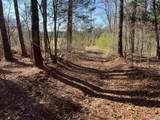3832 Woodtrail - Photo 6